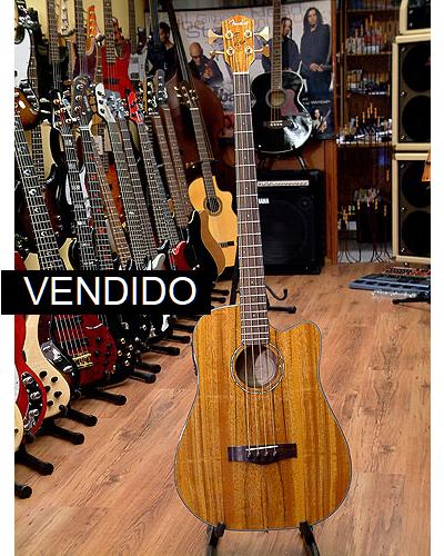 Fender Victor Bailey Acústico
